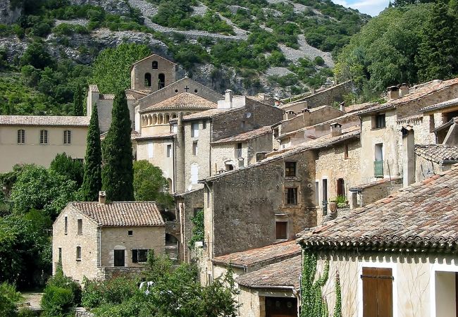 アベィ ド ジェローヌ