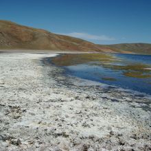 白い部分は、乾いた塩です。