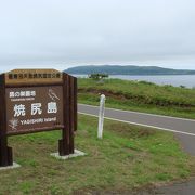 焼尻島の西端。天売島を望む。