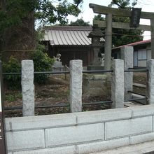 横浜市の名木古木あり