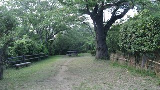 戸塚語るのにココ・・