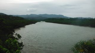 西表らしい景観