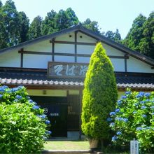 そば道場さくら野