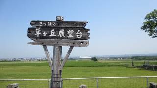 有名なクラーク博士像を一目見に。