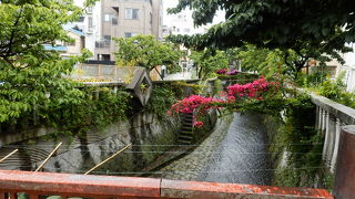 桜の季節以外でも