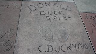 夜のほうが賑やかです