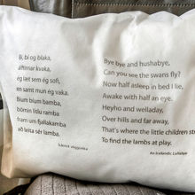 機内の色んな所にアイスランド語と英語の対比が。