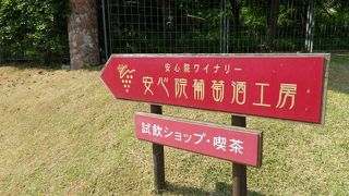 気持ちいい空気の中での見学＆試飲は最高♪