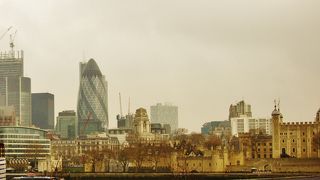 キュウリか？！