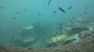 案外楽しめました～