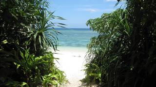 米原キャンプ場