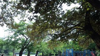 釣りに最適な浅井山公園