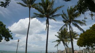 波が穏やかで透明度が高いビーチ