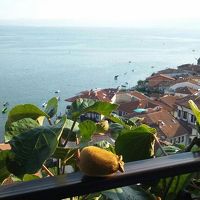 ベランダからのながめ