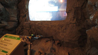 入場無料なのにこの満足感