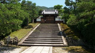 椿の季節に訪れたいところ