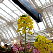 建物内は暖かかった