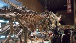 展示品・展示方法が素晴らしい