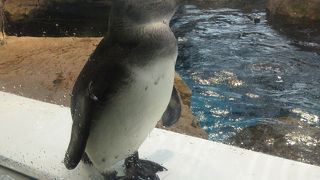 京都の新しい観光スポット