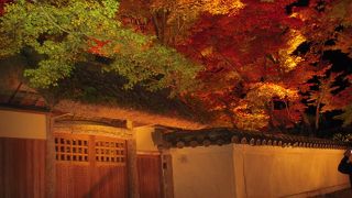 紅葉で有名です