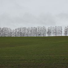 空が青かったらきれいです