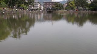 放生池として・・・