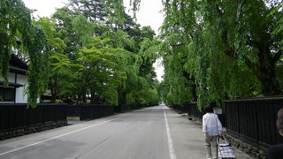 四季折々の風景