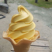 カボチャソフトはこんな感じです