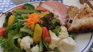 初夏の中之島！川沿いでのカフェは気持ちが良いです！