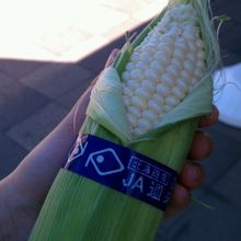 ピュアホワイトが安い！！