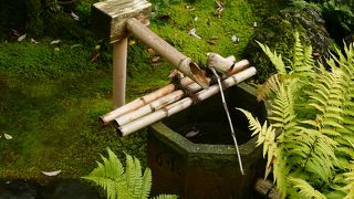 いろは草庵  郷愁を感じる和みの空間