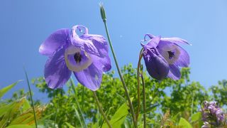景色良し、花も沢山あります。