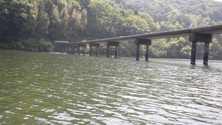 もはや四万十川の一部です