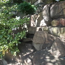 岩礁付近はひっそりとしていました