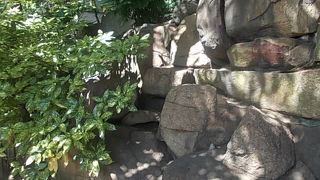 昔の海岸の名残を今に伝えます