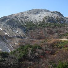 山肌の様子ですが、白っぽいのは火山成分によって岩石が変質して