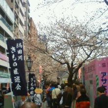 細長い道が花見客と多数の露店で埋め尽くされます。