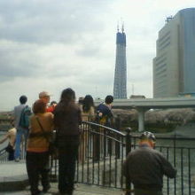 2010年で、スカイツリーはまだ展望台ができた頃でした。