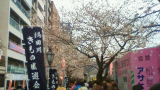 隅田川の両岸が花見客と露店で埋め尽くされる祭