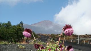 人が少ないので絶景を独り占めできます