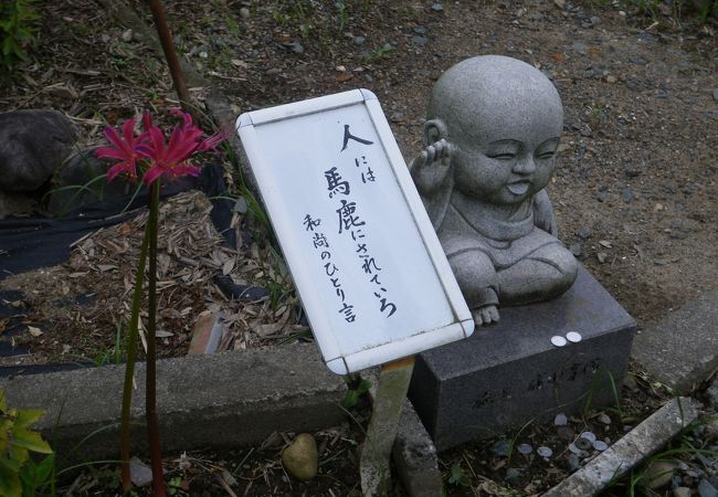 桔梗寺です、和尚さんのひとり言