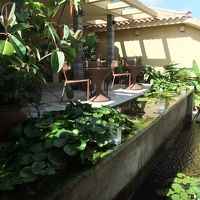 ホテルの通路は蓮の花咲く池