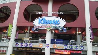 ＥＤｙがあれば、ほぼ手ぶらで観戦できます！