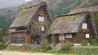 紅葉に映える合掌造りの白川郷！