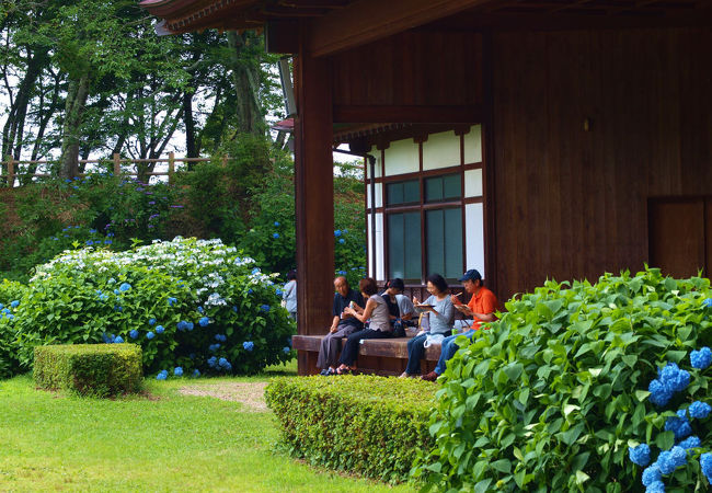 黒羽城址公園