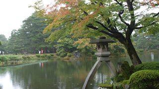 敷地が広いので全部は回りきれませんでした