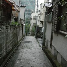 覆いかぶさる樹木もなく今は昔