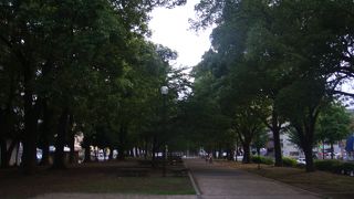 細長い公園