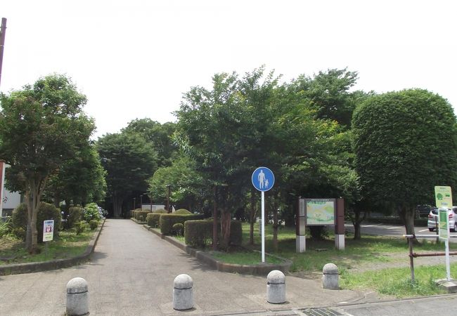 相模川沿いのパノラマ花壇や芝生広場などがある公園です　