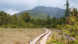 初夏の尾瀬もおすすめです